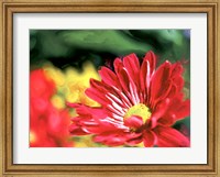 Painterly Flower VI Fine Art Print
