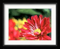 Painterly Flower VI Fine Art Print