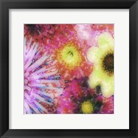Floral Reef III Fine Art Print