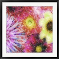 Floral Reef III Fine Art Print