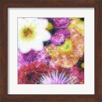 Floral Reef IV Fine Art Print