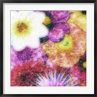 Floral Reef IV Fine Art Print