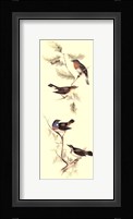 Gould Bird Panel I Fine Art Print
