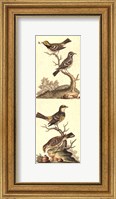 Crackled Edwards Bird Panel II Fine Art Print
