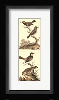 Crackled Edwards Bird Panel II Fine Art Print