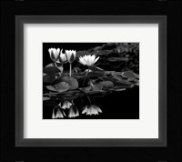 Reflections on Water Fine Art Print