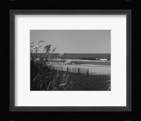 Carolina Contentment Fine Art Print