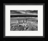 Pathway Fine Art Print