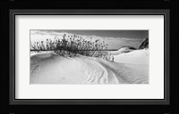 Serebe Shorline Fine Art Print