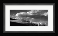 Sand Fences Fine Art Print