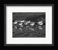 Family Reunion Fine Art Print