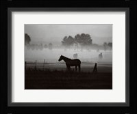 Grazing in the Mist Fine Art Print