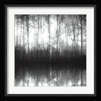 Forest Mist Fine Art Print