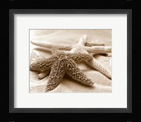 Starfish Family Fine Art Print