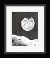 Sand Dollar and Surf Fine Art Print