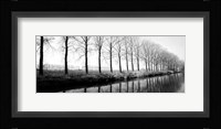 Trees Along the Canal Fine Art Print