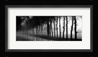 Tree Lined Canal Framed Print