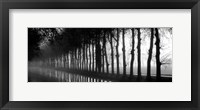 Tree Lined Canal Framed Print
