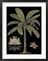 Palm on Black II Fine Art Print