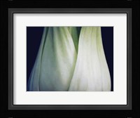 Bok Choy I Fine Art Print