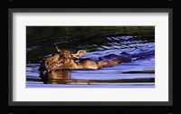 Bathing Beauty Fine Art Print
