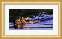 Bathing Beauty Fine Art Print