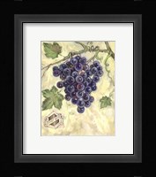 Pinot Noir Framed Print
