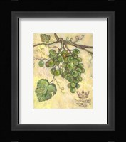 Chardonnay Framed Print
