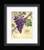 Cabernet Sauvignon Framed Print