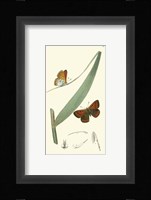 Nature Study I Fine Art Print