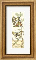 Small Tandem Butterflies IV Fine Art Print