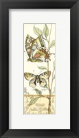 Small Tandem Butterflies IV Fine Art Print