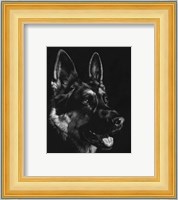 Canine Scratchboard I Fine Art Print