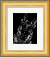 Canine Scratchboard II Fine Art Print