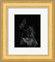 Canine Scratchboard III Fine Art Print