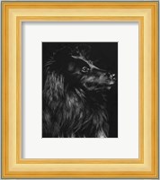 Canine Scratchboard VI Fine Art Print