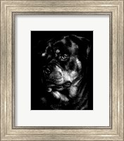 Canine Scratchboard XII Fine Art Print