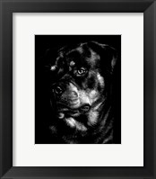 Canine Scratchboard XII Fine Art Print