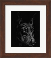 Canine Scratchboard XIII Fine Art Print