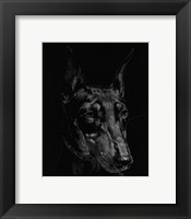 Canine Scratchboard XIII Fine Art Print