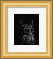 Canine Scratchboard XIII Fine Art Print