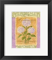 Sweet Hydrangea Fine Art Print