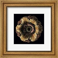 Small Classic Rosette III Fine Art Print