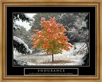 Endurance - Fall Tree Fine Art Print
