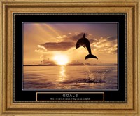 Goals - Dolphins Fine Art Print