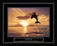 Goals - Dolphins Fine Art Print