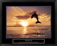 Goals - Dolphins Framed Print
