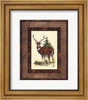 Rustic Deer Fine Art Print