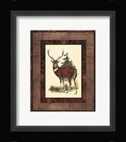 Rustic Deer Fine Art Print
