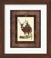 Rustic Deer Fine Art Print